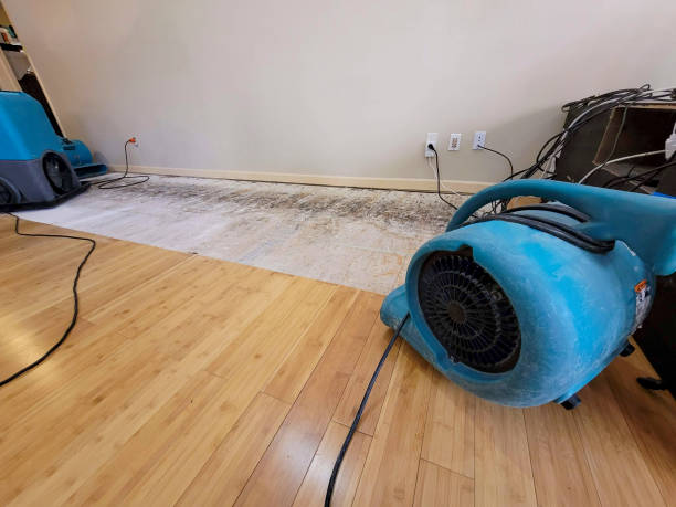 Professional Water Damage Repair technician working in Richmond, OH